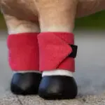 Lifestyle foto LeMieux Toy Pony Bandages Cranberry