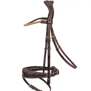 Passier hoofdstel Favorite Havanna met Messing