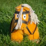 Lifestyle foto Crafty Ponies Premium hoofdstel donkerbruin