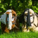 Duo afbeelding lifestyle Premium hoodfstel Crafty Ponies