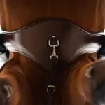 Lifestlyle foto onderzijde PresTeq Singel PerformFree Veelzijdigheid Bruin