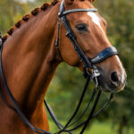 Lifestyle afbeelding FayRein stangteugels PresTeq zwart