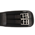 Rolgespen BR singel Evolution Dressuur