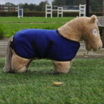 Lifestyle afbeelding Crafty Ponies fleecedeken blauw