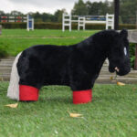 Lifestyle foto fleece bandages Crafty Ponies rood