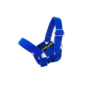 Crafty Ponies Halster Blauw
