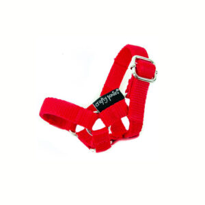 Crafty Ponies Halster Rood