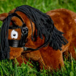 Crafty Ponies Basis Hoofdstel lifestyle zwart