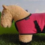 Lifestyle afbeelding Crafty Ponies fleecedeken Roze