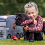 Sfeerfoto LeMieux Toy Pony Freya