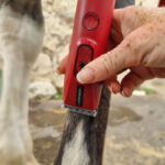 Scheren voetjes Liveryman Nova toiletteermachine