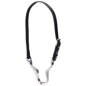 Premiere Luchtzuigersband