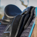 Lifestyle foto QHP Zadelonderlegger Air Mesh