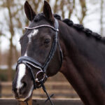 Lifestyle foto QHP Nehza zwart/wit