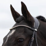 Frontriem hoofdstel QHP Nehza