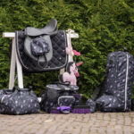 Sfeerfoto QHP laarzentas Lize