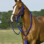 QHP set Liberty lifestyle kobaltblauw