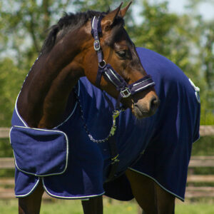 QHP zweetdeken Ornament navy voorzijde