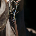 Lifestyle foto PresTeq teugel met Clips Bruin