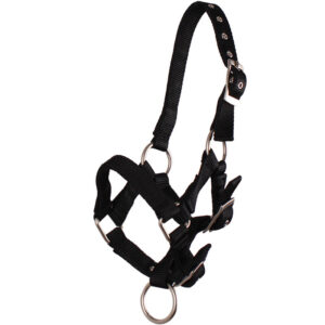 QHP Veulenhalster Zwart