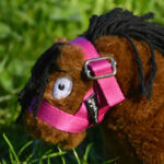 Lifestyle foto Crafty Ponies veulenhalster Roze