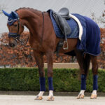 Sfeerafbeelding QHP deken Brilliance Blueberry