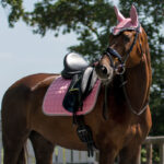 Lifestyle foto Dekje QHP Florence Flamingo Pink