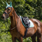 Zadeldek QHP FLorence Ice Green lifestyle foto