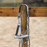 Sfeerfoto Harry's Horse Halsterset Just Ride Urban