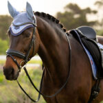 Lifestyle foto LeMieux Oornetje Loire Powder Blue