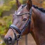Lifestlye foto hoofdstel Passier Shadow