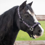 Lifestyle foto halster QHP Lize