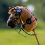 Set foto QHP Hobby Horse Startnummer Bruin