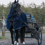 Lifestyle foto QHP tuigdeken met hals