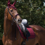 Lifrestyle afbeelding QHP zadeldek Florence bordeaux