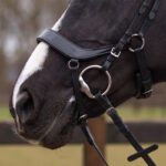 Neusriem QHP hoofdstel Eris zwart