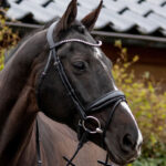 Anatomisch gevormd kopstuk QHP Nehza