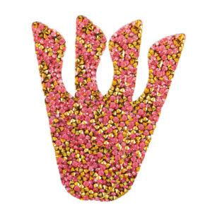 Top Suedwind Fine Crystal Nova Fun Goud/Paars