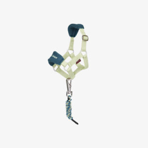 LeMieux Toy Pony Halfterset Vogue Macaron