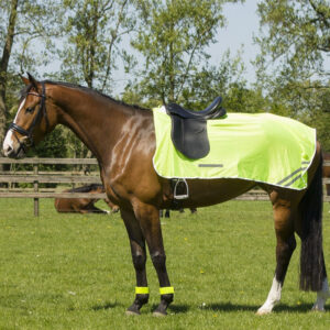 QHP Reflection Exercise Blanket Yellow