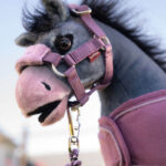 Lifestyle-Foto LeMieux Toy Pony Halfter-Set Vogue Mallow