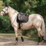 Sfeerfoto Zadeldek EQPRO Precious Zwart