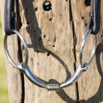 Harry's Horse bit Roll-R lifestyle