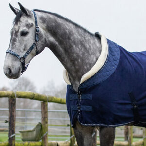 Deken QHP Brilliance Blueberry