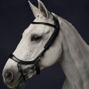 Hoofdstel PresTeq zwart