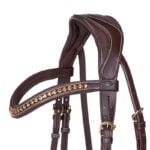 Neuriem QHP hoofdtel Devi bruin