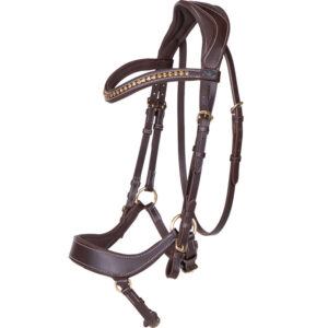 Hoofdstel QHP Devi Bruin