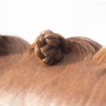 Knotten met gebruik van de QHP invlecht wax stick