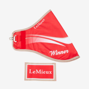 LeMieux Hobby Horse Winners Rug Rood