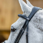 Detail kopstuk LeMieux Hoofdstel Kudos Crackle zwart/zilver